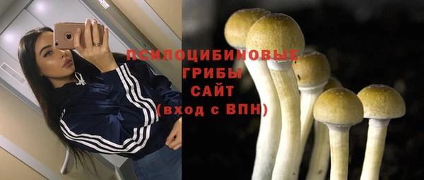 бошки Алексеевка