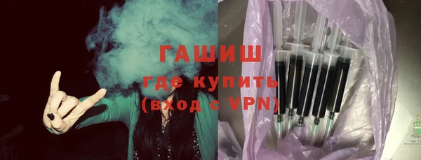шишки Арсеньев