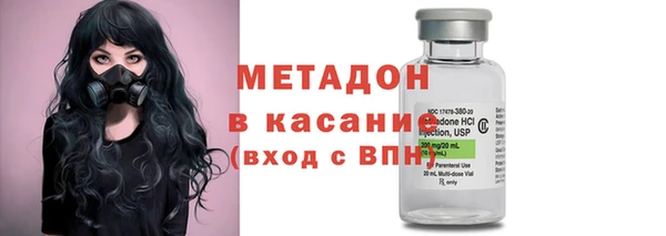 шишки Арсеньев