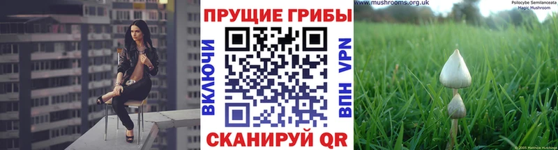 Галлюциногенные грибы мухоморы  магазин продажи наркотиков  Тавда 